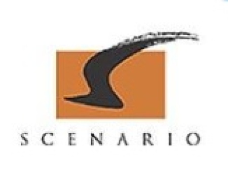 Scenario Co Ltd