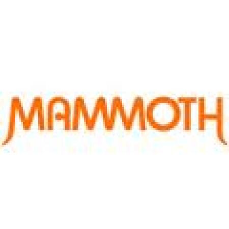 Mammoth Advertising