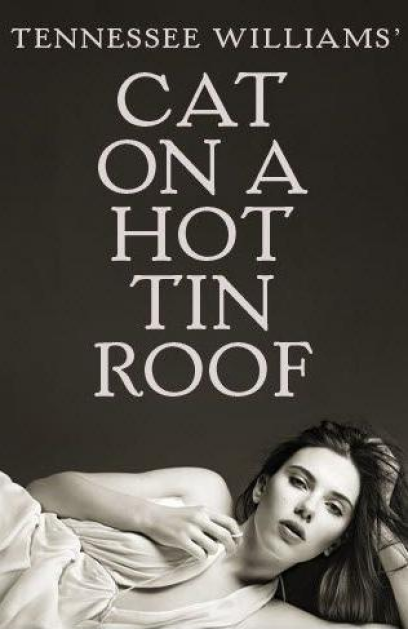 Cat on a Hot Tin Roof