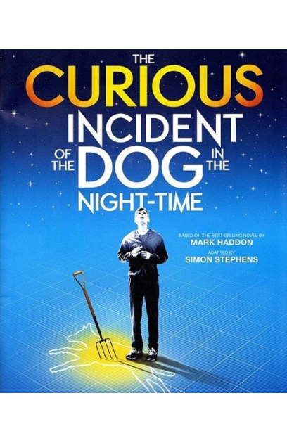 The Curious Incident of the Dog in the Night-Time