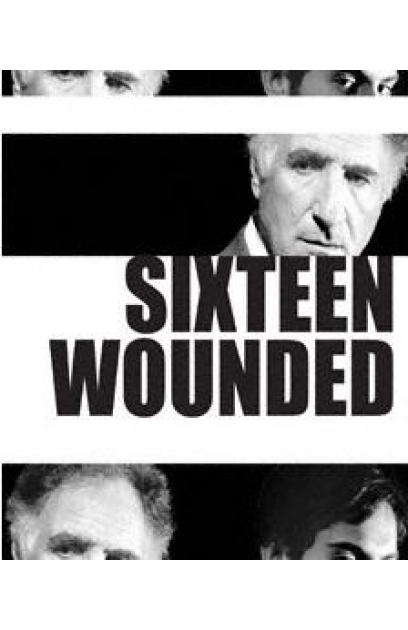 Sixteen Wounded