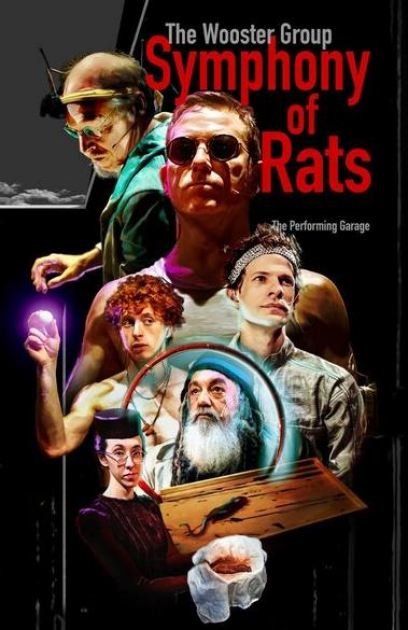 Symphony of Rats